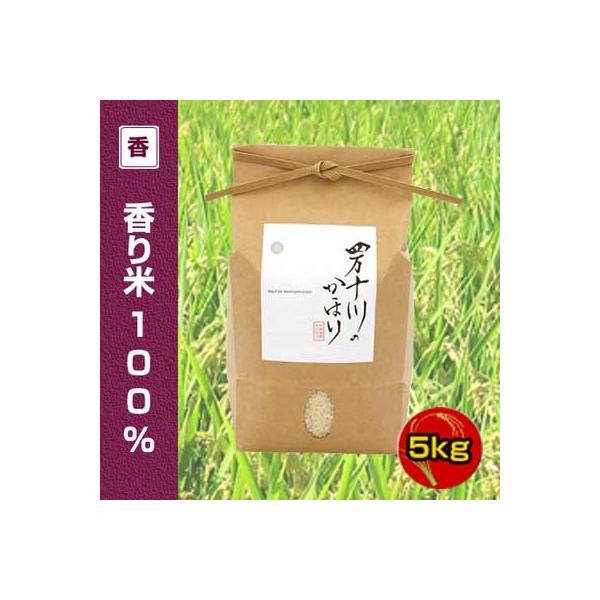 産年経過 特別価格【令和6年度産】香り米(神の香〜カミノカ）100%　5kg　四万十川のかほり （品種名：汢ノ川1号） 新品種 ヌタノカワ