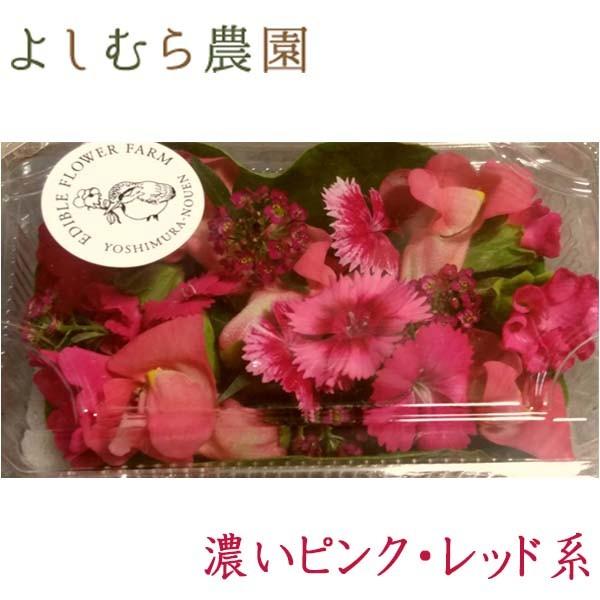 エディブルフラワー　濃いピンクレッド系お花パック　食べるお花 よしむら農園 食用花 料理 パーティー 高知