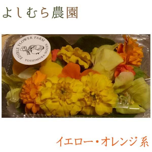 エディブルフラワー イエロー オレンジ系お花パック 食べるお花 よしむら農園 食用花 料理 パーティー 高知 Orange Yn 森徳蔵 Comヤフー店 通販 Yahoo ショッピング