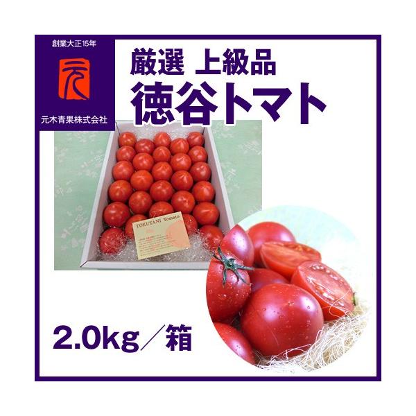 厳選 上級品 [A-017] （市場直送便）徳谷トマト　2.0kg