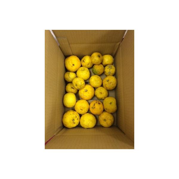 󂠂Mq2Kg@mY̗Mq  ͔|_sgp@~@䂸@C