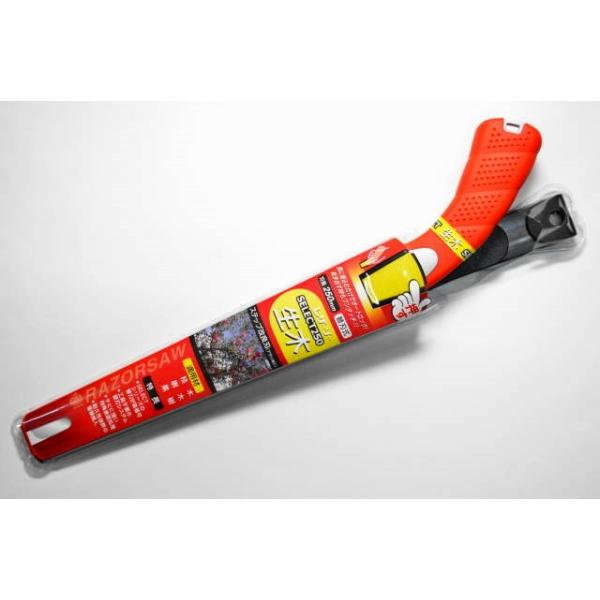  ֐n ʒ U[\[ SELECT 250  { i164 ZNgV[Y