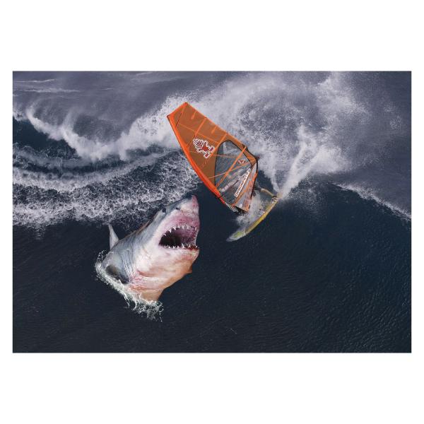 ウインドサーフィン サメ ポスター 選べる5サイズ インテリア 人気アートポスター Dpos 43 森山印刷所 通販 Yahoo ショッピング
