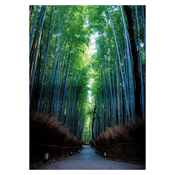 竹林の風景 水彩画 シルバーフレーム 楽天市場】嵐山の景色1 6枚セット ( 竹林の小径 嵯峨野