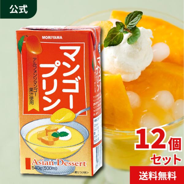 守山乳業 爆買対象 公式ストア マンゴープリン 540g 12本