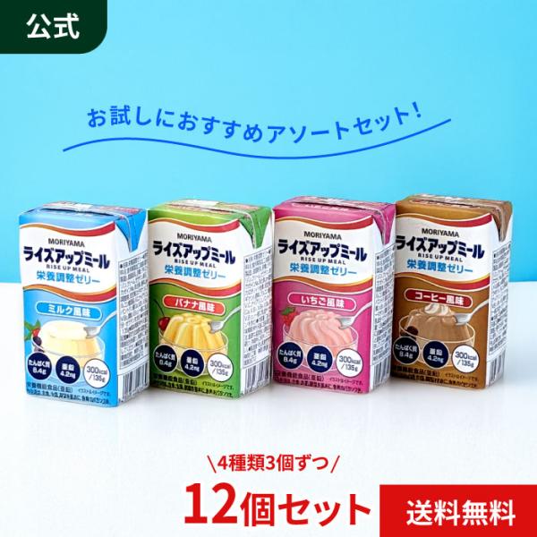 公式ストア MORIYAMA お試し ライズアップミール 栄養調整ゼリー 135g