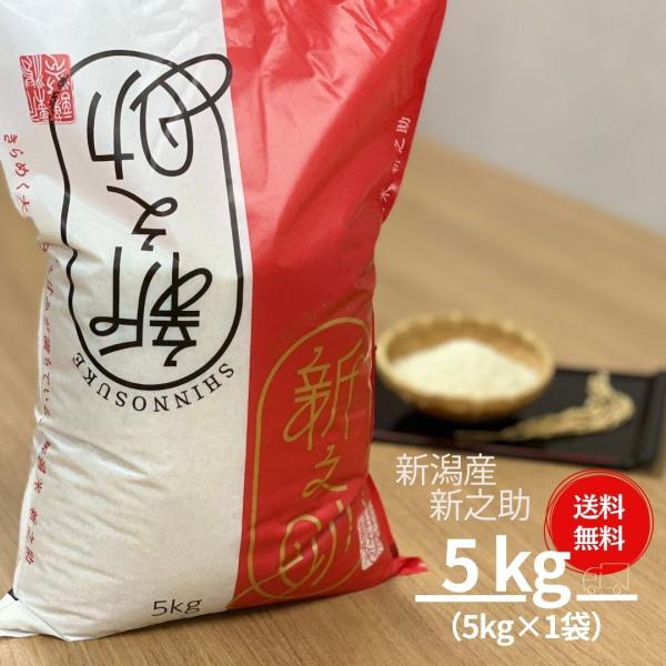 米 お米 5kg セール 新之助 新潟米 本州送料無料 令和5年産