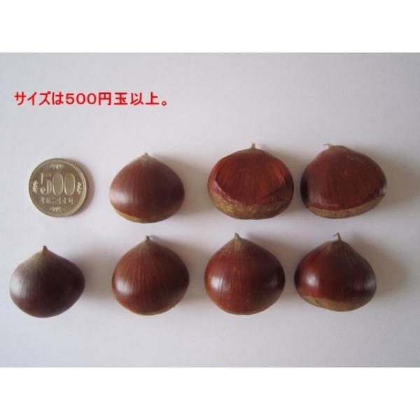 OgI I  2Kg