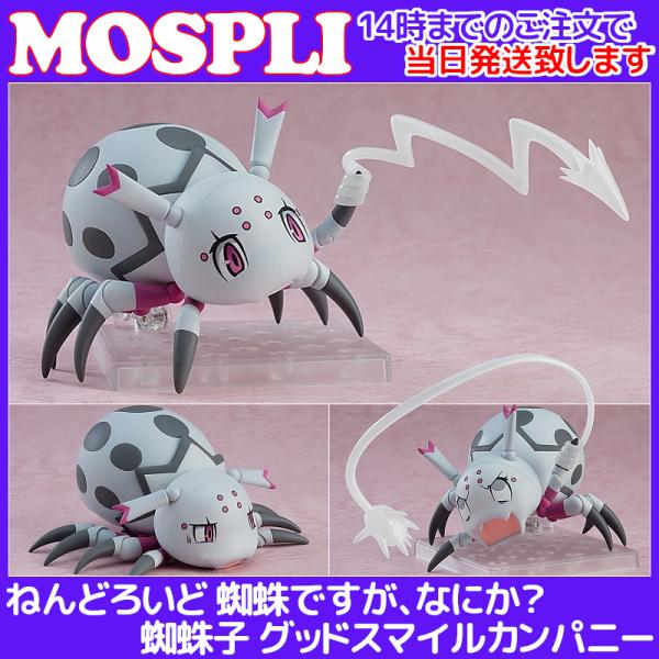 蜘蛛 みんな探してる人気モノ 蜘蛛