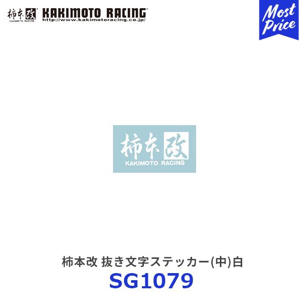 休業中 Ninja ZX-14R 12ヶ月点検（AーStyleの作業実績 2025/04/05