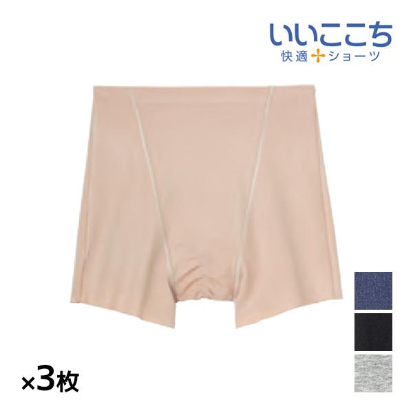 商品番号：HV0662B-SET送料無料 同色3枚セット いいここち 快適ショーツ ひびきにくい サニタリー レギュラーショーツ グンゼ GUNZE | サニタリーショーツ 生理パンツ 生理ショーツ サニタリーパンツ ショーツ パンツ ひび...