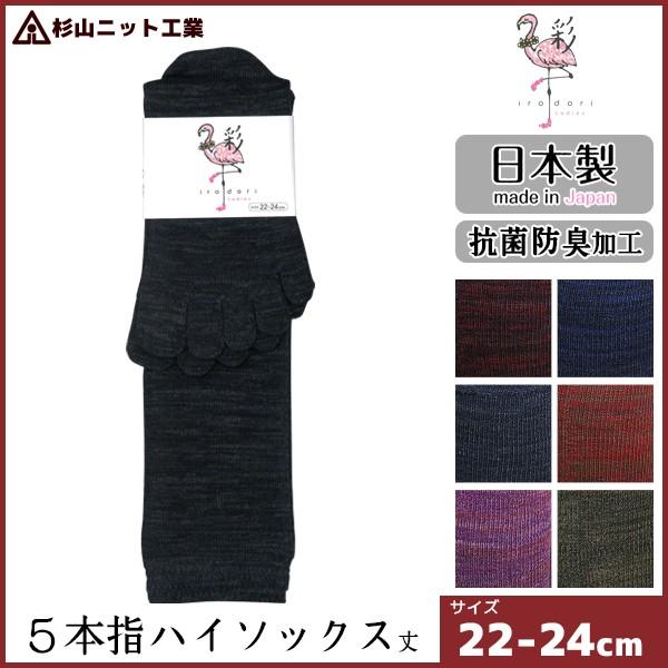 RjbgH EM\bNX  ǂ wlI[V[Y fB[XnC\bNX 5{w {   C LS0601