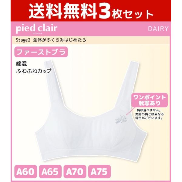 30%OFF 3Zbg WjAfB[X pied clair sGN[ Stage2 t@[Xgu n[tgbv Jbvt O[ GUNZE X|[cuW[  󂠂 SALE