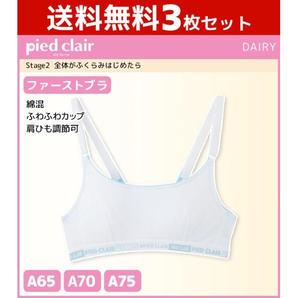 3Zbg WjAfB[X pied clair sGN[ Stage2 t@[Xgu n[tgbv Jbvt O[ GUNZE X|[cuW[ PCD165A-75A-SET