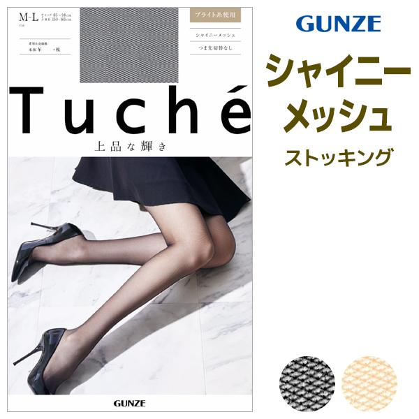 Tuche トゥシェ 上品な輝き シャイニーメッシュ ストッキング TH211G