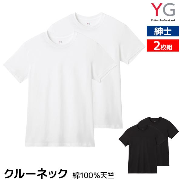 YG ワイジー クルーネックTシャツ 2枚組 綿100% 天竺 紳士 グンゼ