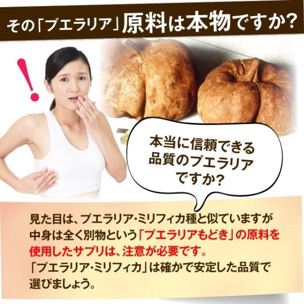 グラマーエピソードサプリ 30粒 約1ヶ月分 バスト 女子力 アップ サプリ プエラリアミリフィカ プエラリン グラマー マザーリーフ Buyee Buyee 提供一站式最全面最專業現地yahoo Japan拍賣代bid代拍代購服務 Bot Online