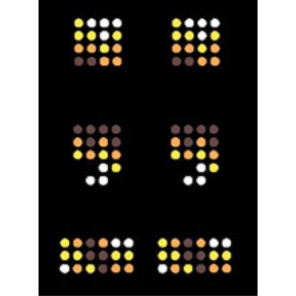 yAt@xbgz XpR[`[t yA-Zz iOf[Vj  TVc̃SɃsb^ ߃TCY