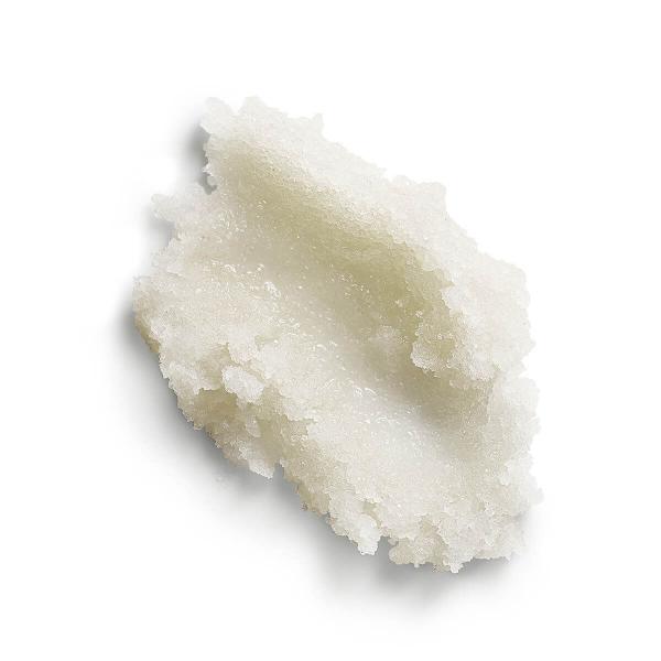 motimotinoki_moti202506201_1_d_20250620102644