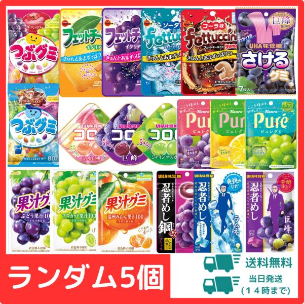 グミ 詰め合わせ  5個 人気  お菓子  おやつ ポイント利用 まとめ買い