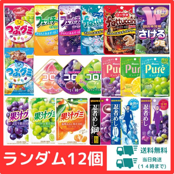 グミ 詰め合わせ  12個 人気  お菓子  おやつ ポイント利用 まとめ買い