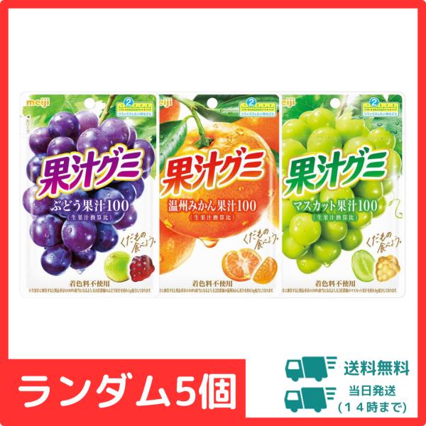 【5個】果汁グミ 詰め合わせ ランダム5個 まとめ買い　ポイント利用