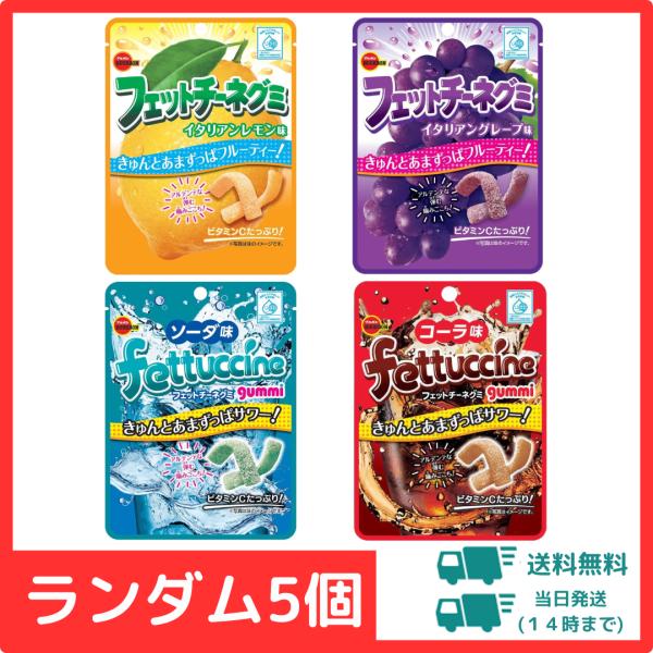 【5個】フェットチーネグミ 詰め合わせ ランダム5個 ポイント利用