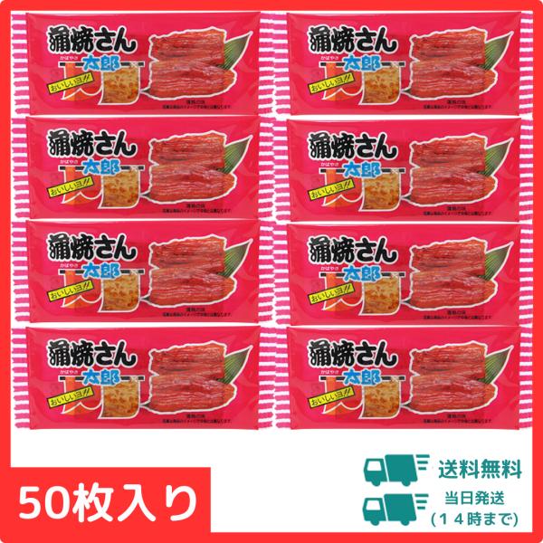 蒲焼さん太郎 50袋入り 菓道  駄菓子 まとめ買い 子ども