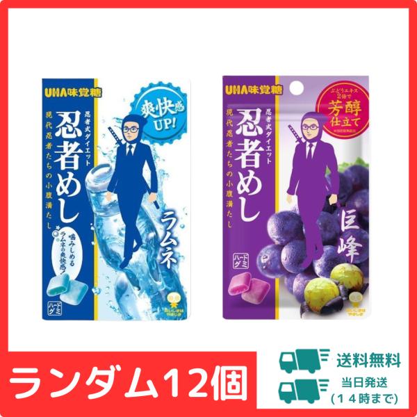 【12個】忍者めし ランダム12個 詰め合わせ ポイント利用