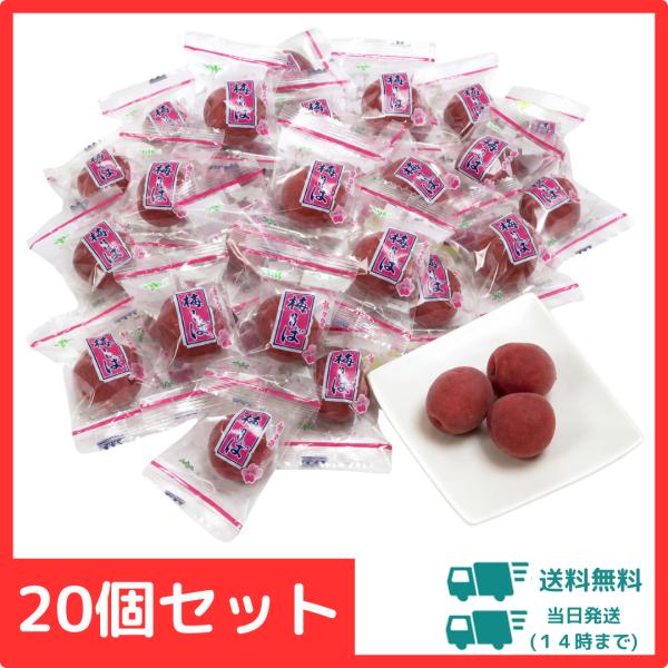 ムラオカ 梅しば 20個 セット 送料無料 カリカリ梅 国産 うめ 個包装 詰め合わせ お菓子 おやつ おつまみ 塩分補給 熱中症対策 ドライブ