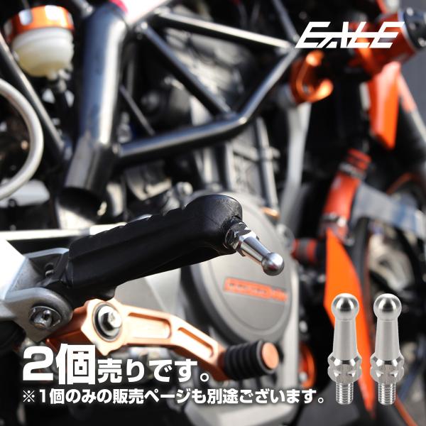 2個セット 30mm バンクセンサー 汎用 ネジ M6×10mm P1.0 補修 交換用 ドレスアップにも シルバー S-1038-2SET