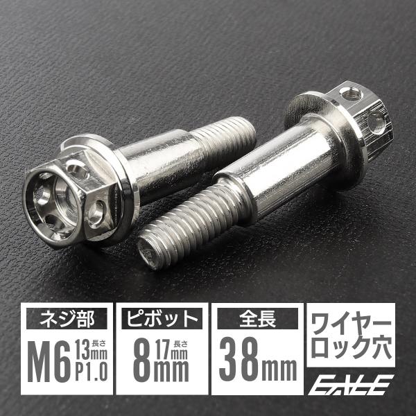 バイクレバー 取付用 ピボットボルト ピボット径8mm M6 P1.0 ステンレス ワイヤーロック穴 補修 交換 シルバー 2本セット TH0544