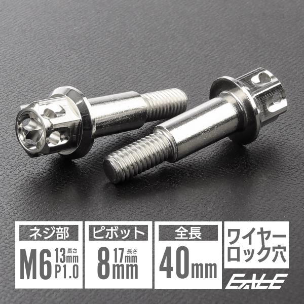 バイクレバー 取付用 ピボットボルト ピボット径8mm M6 P1.0 ステンレス ワイヤーロック穴 補修 交換 A3ヘッド シルバー 2本セット TH0550