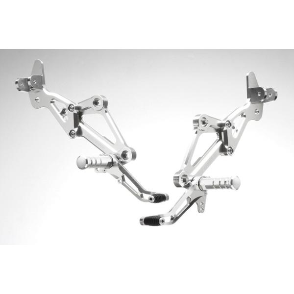 STRIKER XyVXebvLbg Type2 1|WViVo[j/[t@[1100 SS-AA202SLT