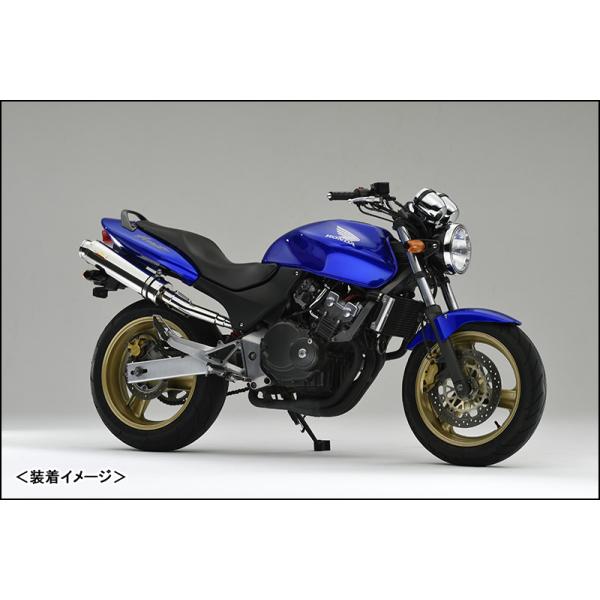 REALIZE Aria SUS TypeS（ステンレス） マフラー/ホーネット250［MC31