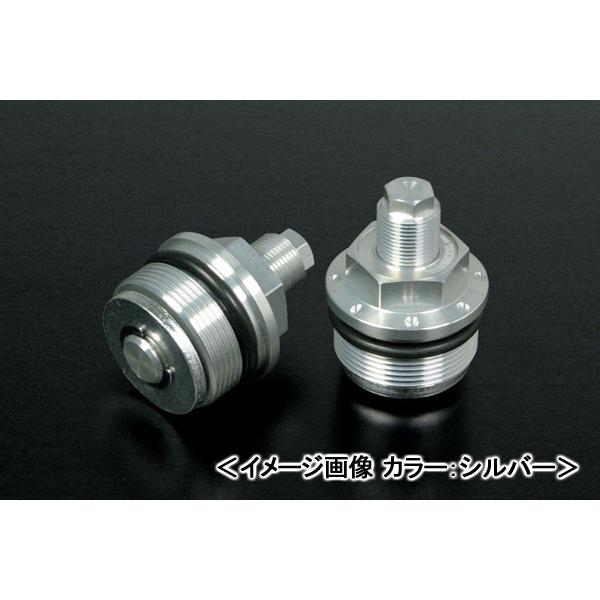 SP CjVAWX^[ibhj/CBR250R 06-06-0008