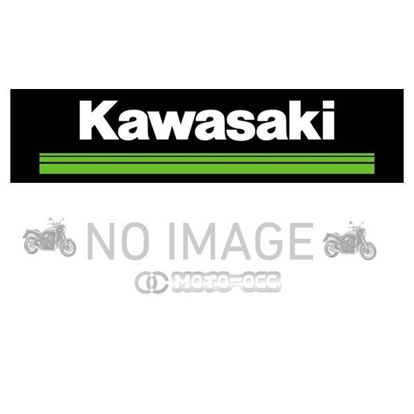 カワサキ（Kawasaki） W800/W800 STREET/W800 CAFE Kawasaki