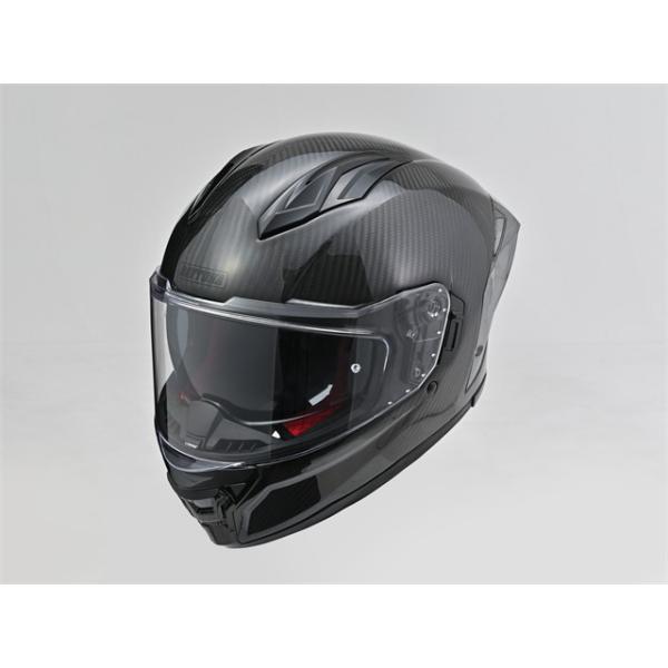 在庫有り 当日発送 DAYTONA デイトナ DN011RCスポーツカーボンGBK/M 65510