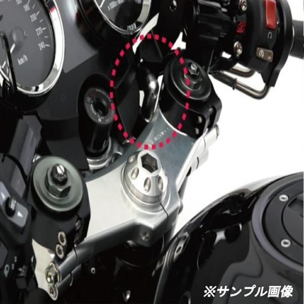 13670026 ACTIVEビキニカウル取付けマウント SIL Z900RS 18-21 ACTIVE