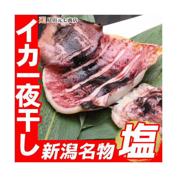 海鮮 ギフト 新潟名物 いか一夜干し 塩８枚入  2枚入×４袋 送料無料 烏賊 イカ おつまみ 肴 日本酒に合う 新潟見田元七商店