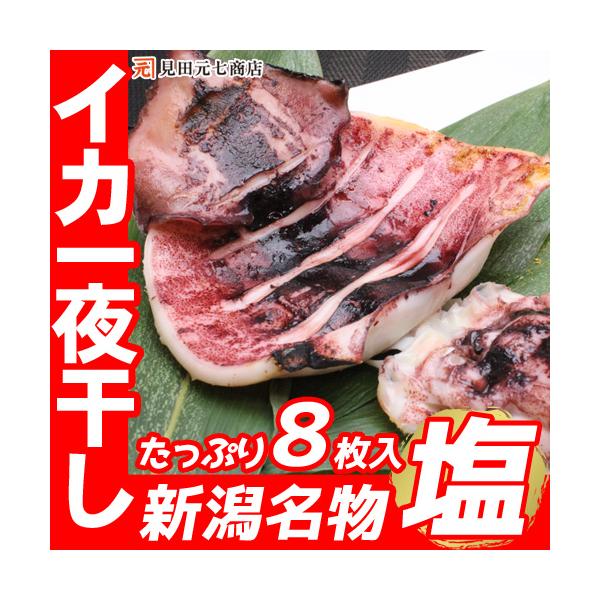 海鮮 ギフト 新潟名物 いか一夜干し 塩８枚入  2枚入×４袋 送料無料 烏賊 イカ おつまみ 肴 日本酒に合う 新潟見田元七商店