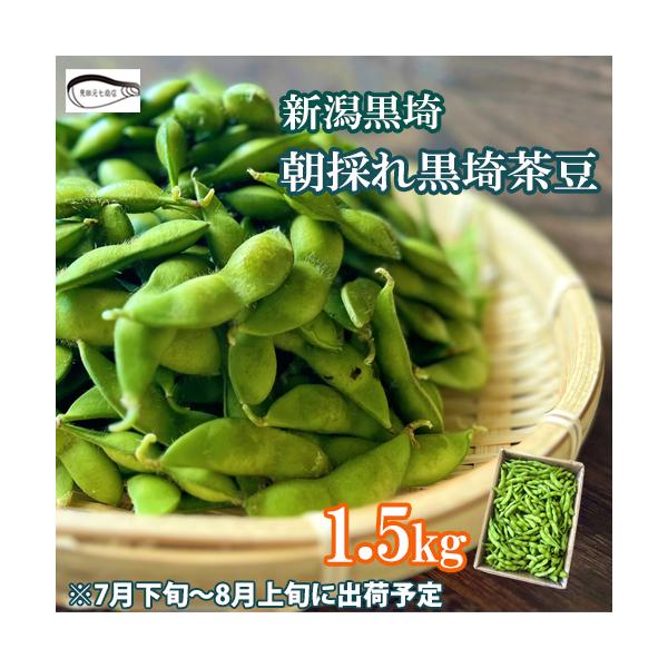 申込期間は7/31迄 枝豆 黒埼茶豆 1.5kg 産地直送 7月下旬より出荷予定 新潟 くろさき茶豆 茶豆 甘い 晩酌 朝採り 特産品 GI登録えだまめ ケンミンショー 爆買
