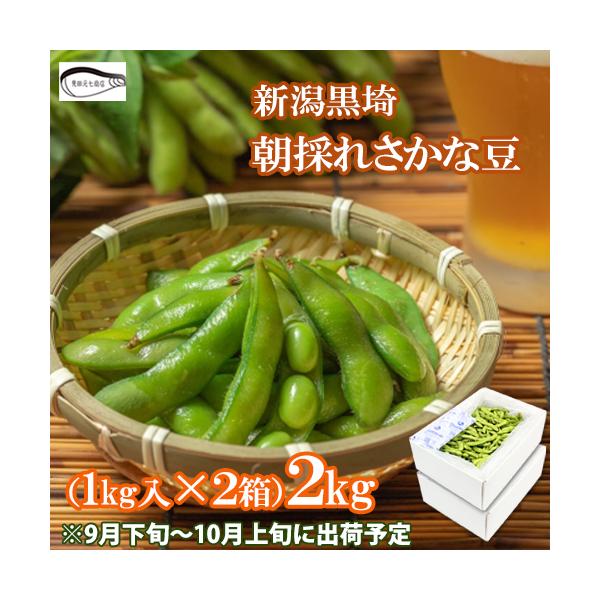 申込期間は9/25迄 枝豆 新潟黒埼産 さかな豆 秋豆 2kg 新潟市 えだまめ 9月下旬より出荷予定 えだまめ盛 ケンミンショー 爆買
