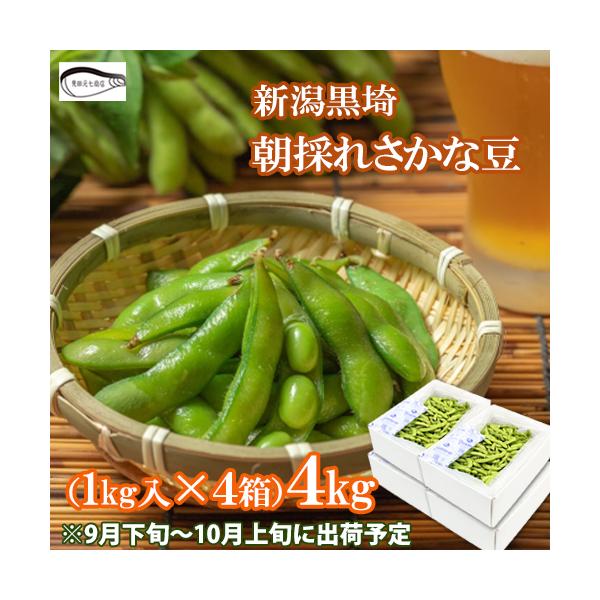 申込期間は9/25迄 枝豆 新潟黒埼産 さかな豆 秋豆 4kg 新潟市 えだまめ 9月下旬より出荷予定 えだまめ盛 ケンミンショー 爆買