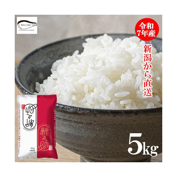米 5kg 新米 送料無料 新潟県産 令和7年産 産地直送 新之助 お米 ブランド米 精米 白米 敬老の日 ギフト うるち米 ご飯 ごはん おにぎり おこめ ※ 爆買