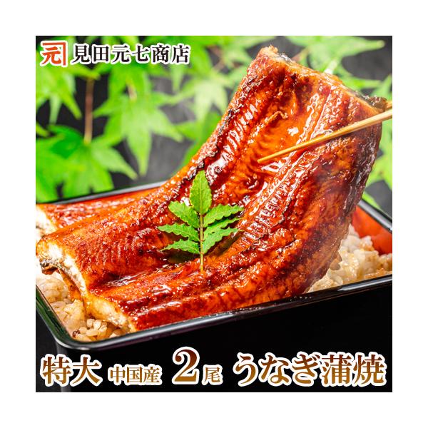 海鮮 ギフト うなぎ 蒲焼き 中国産 特大 うなぎ蒲焼き２尾セット 長蒲焼き 真空パック ギフト ウナギ 土用 丑の日 惣菜 爆買