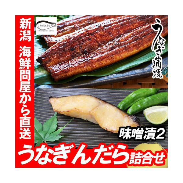 うなぎ 国産 蒲焼き 鹿児島県産 鰻 長蒲焼き 銀だら 味噌漬 セット 冷凍 贈り物 お祝い お返し グルメ 敬老の日 ギフト 爆買