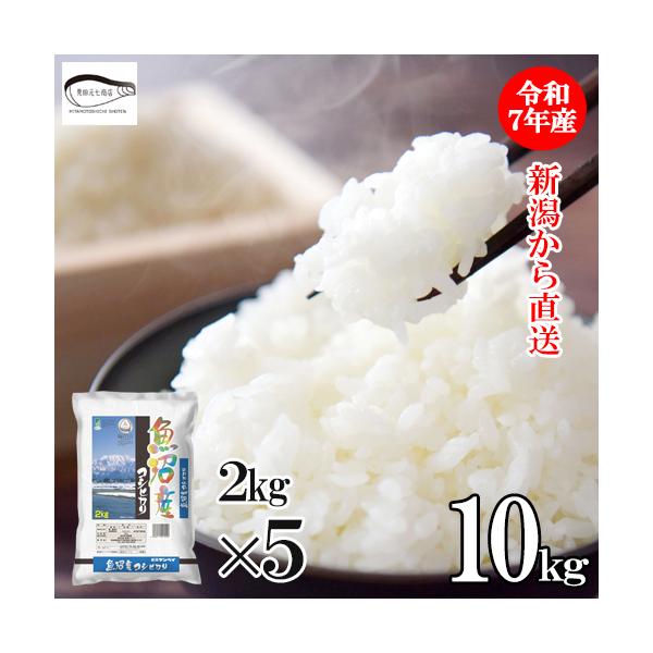 米 10kg 新潟魚沼産 コシヒカリ（2kg×5袋）新潟県産 令和7年産 産地直送 お米 ブランド米 精米 白米 ギフト おこめ 爆買