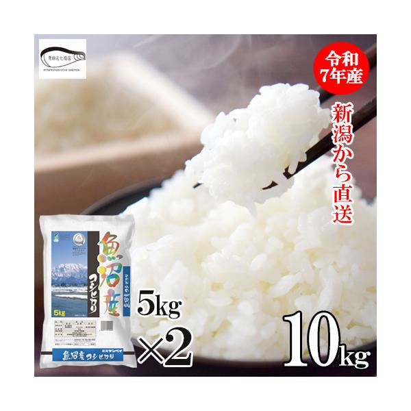 米 10kg 新潟魚沼産 コシヒカリ（5kg×2袋）新潟県産 令和7年産 産地直送 お米 ブランド米 精米 白米 ギフト おこめ 爆買