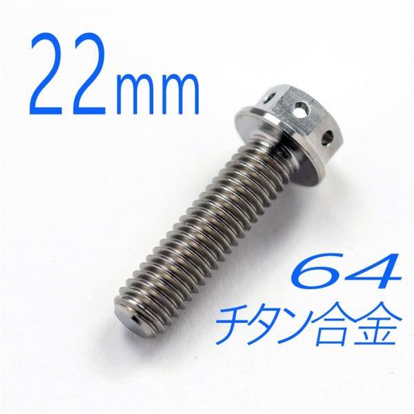 ▽64チタン合金ボルト M6/22mm シルバー フランジ6角レーススペックタイプ ワイヤリング穴付き (FBM622SI)